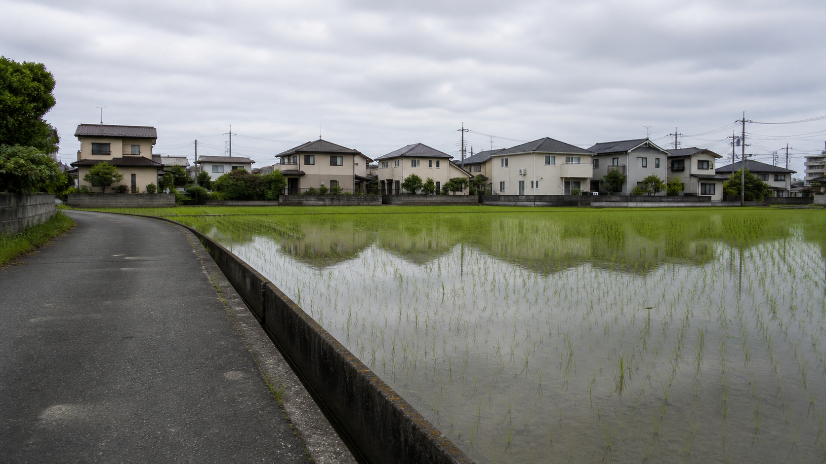 住宅地に隣接する水田と道路との高低差のイメージ