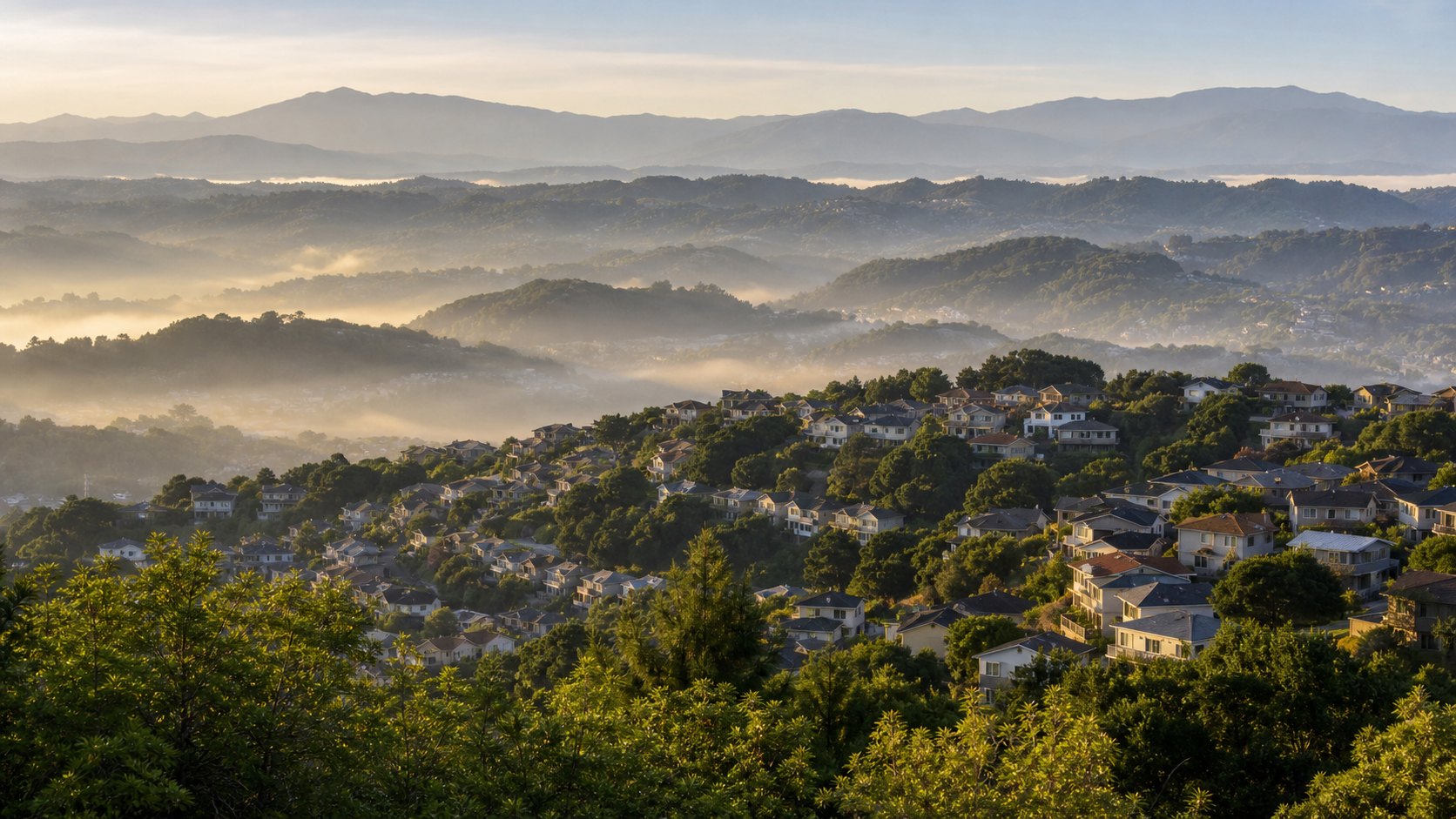 朝の光の中、丘陵にひらけた郊外の住宅地を見下ろす遠景